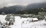 PRIMA NEVE A CESPEDOSIO - FOTOGALLERY